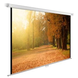  Экран Cactus 125x200см WallExpert CS-PSWE-200x125-WT 16:10 настенно-потолочный рулонный 